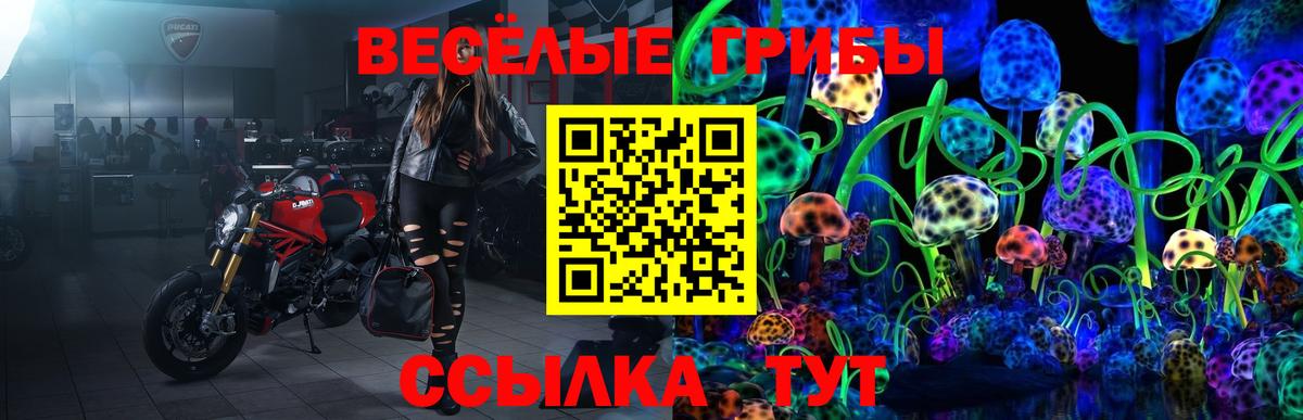 Псилоцибиновые грибы ЛСД  Псилоцибиновые грибы MAGIC MUSHROOMS  Дивногорск  Вход с VPN 