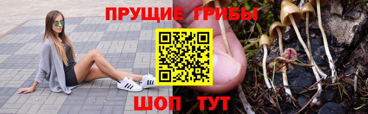 Каннабис Дивногорск