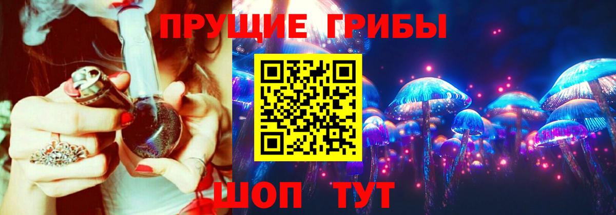 Псилоцибиновые грибы Psilocybe Дивногорск